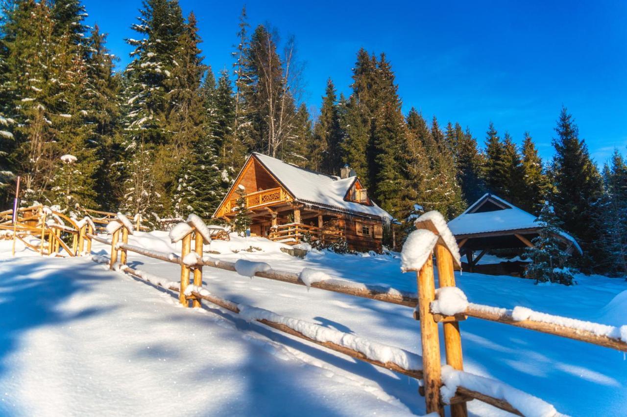 Lesna Bacowka Villa Nowy Targ Exteriör bild