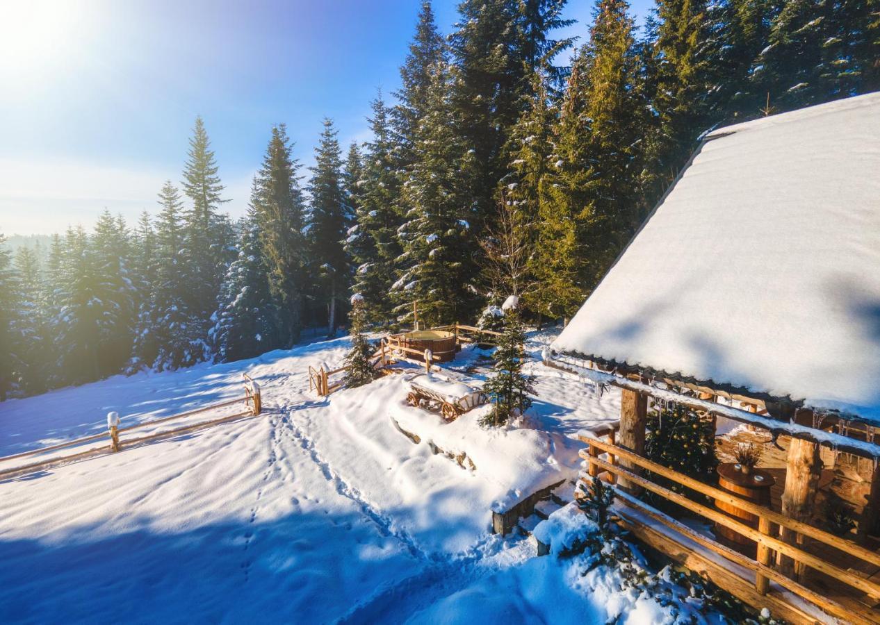Lesna Bacowka Villa Nowy Targ Exteriör bild