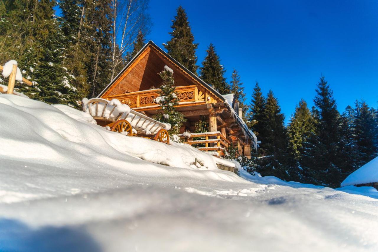 Lesna Bacowka Villa Nowy Targ Exteriör bild
