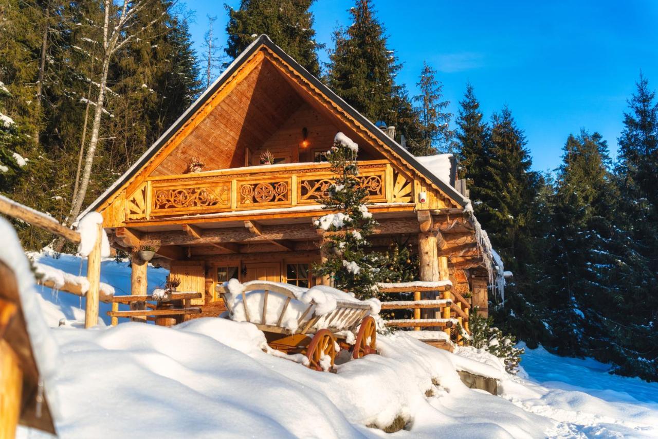 Lesna Bacowka Villa Nowy Targ Exteriör bild
