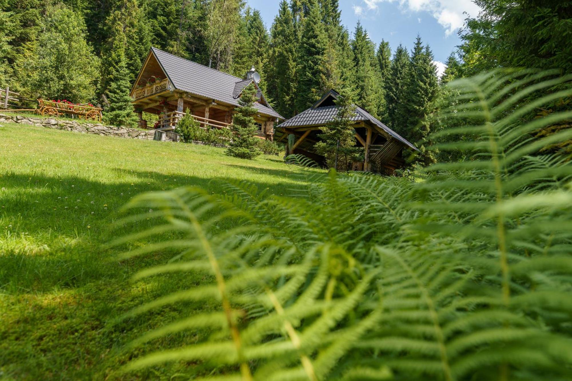 Lesna Bacowka Villa Nowy Targ Exteriör bild