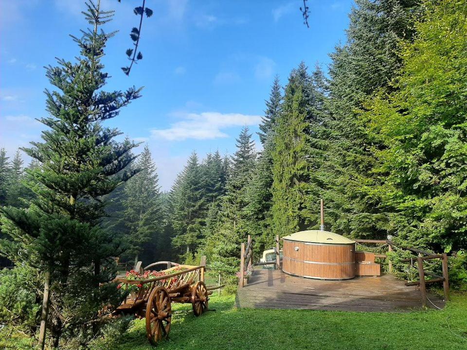 Lesna Bacowka Villa Nowy Targ Exteriör bild