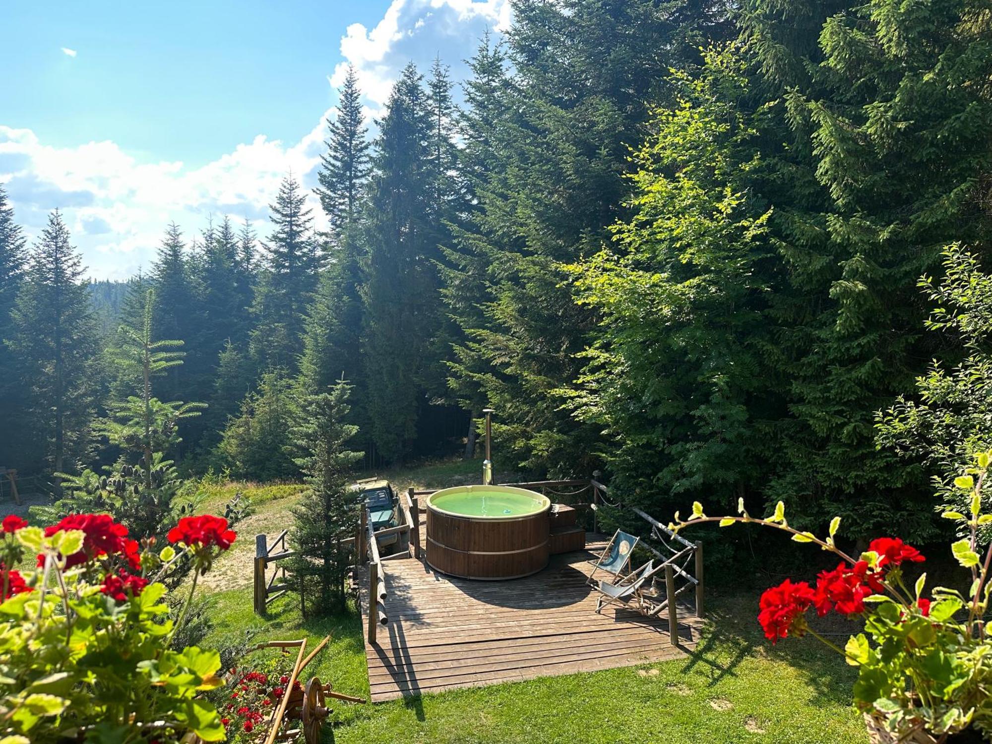 Lesna Bacowka Villa Nowy Targ Exteriör bild