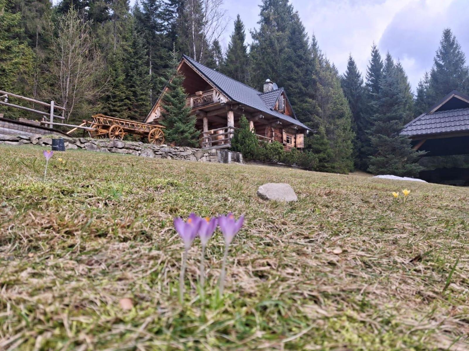 Lesna Bacowka Villa Nowy Targ Exteriör bild